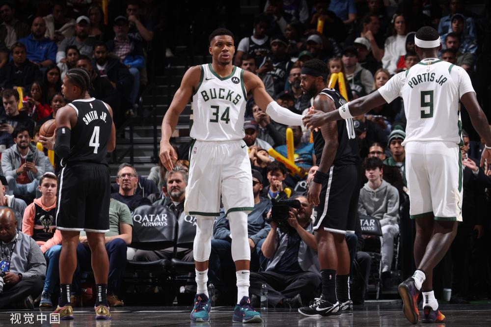 真诚橄榄枝 真诚橄榄枝